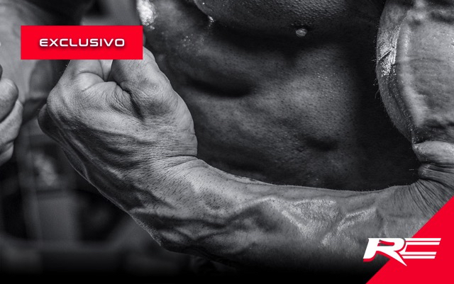 Parte 3 – Enzimas Digestivas – Seminario