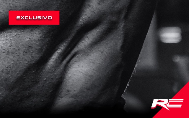 Termogénicos, Carnitina, Cla, Resveratrol…