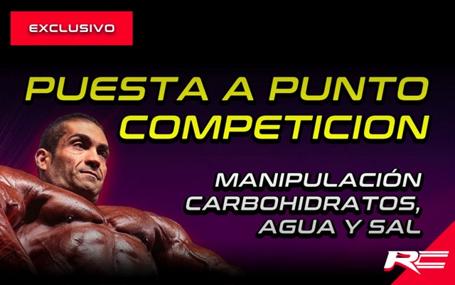 Puesta a punto competición