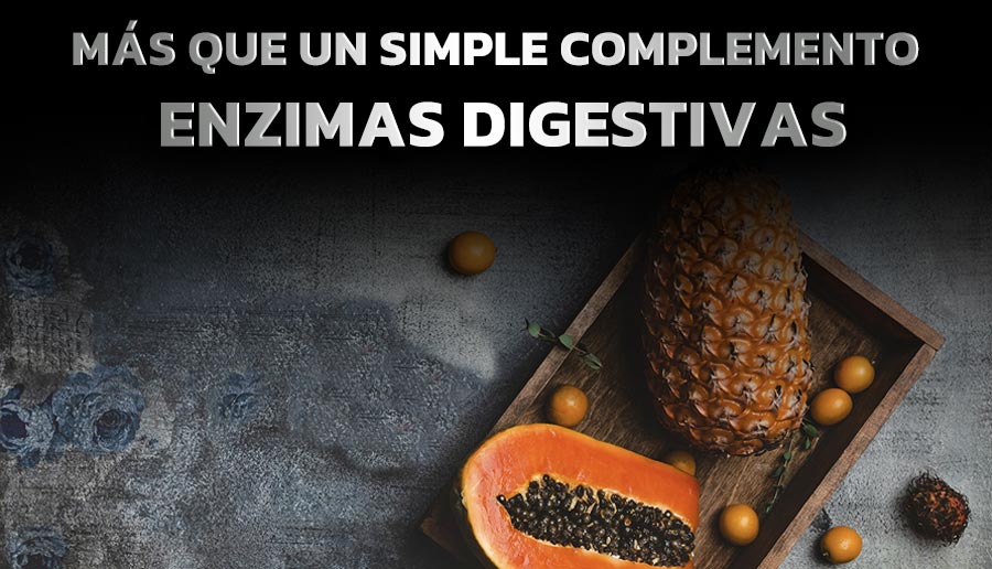 ENZIMAS DIGESTIVAS, MAS QUE UN SIMPLE COMPLEMENTO