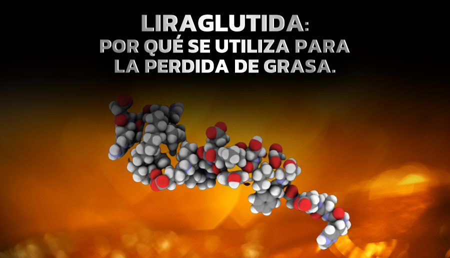 Liraglutida: por qué se utiliza para la perdida de grasa