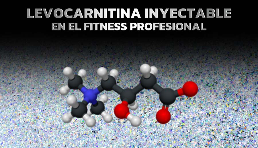Protocolo levocarnitina inyectable en el fitness profesional
