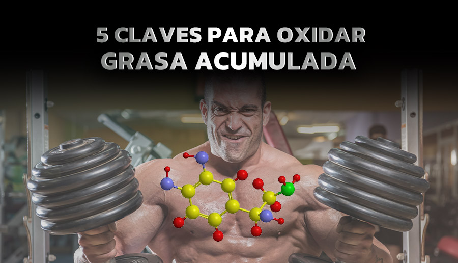 5 CLAVES PARA OXIDAR GRASA ACUMULADA
