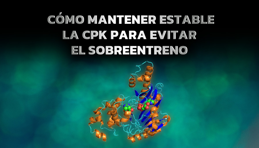 Cómo mantener estable la CPK para evitar el sobreentreno