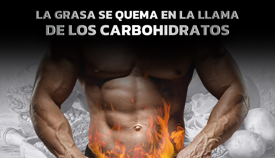 La grasa se quema en la llama de los carbohidratos