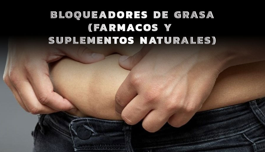 Bloqueadores de grasa