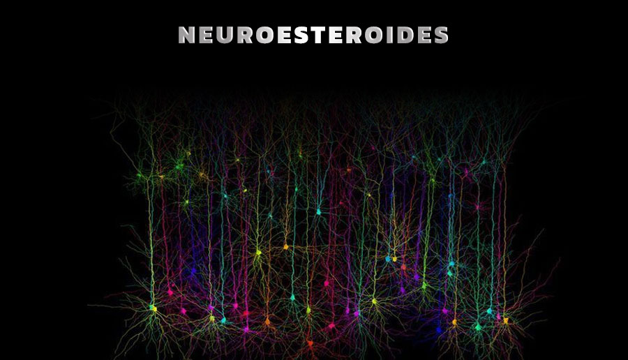 Neuroesteroides