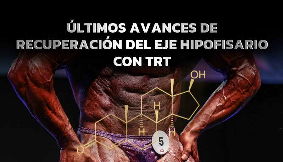 Últimos avances de recuperación del eje hipofisario con TRT