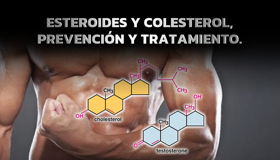 Esteroides y colesterol, prevención y tratamiento