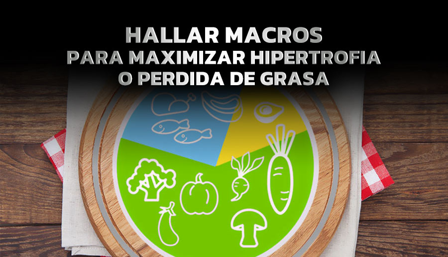  HALLAR MACROS PARA MAXIMIZAR HIPERTROFIA O PERDIDA DE GRASA