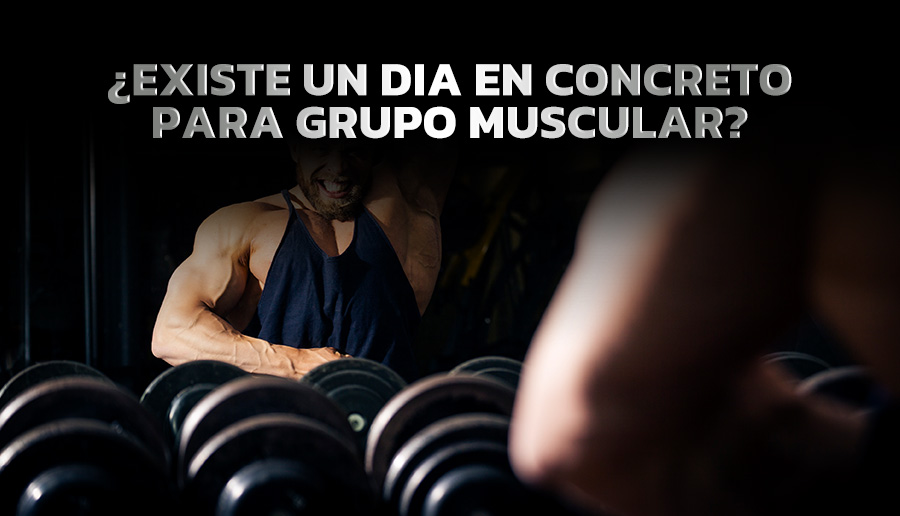 ¿EXISTE UN DIA EN CONCRETO PARA GRUPO MUSCULAR?