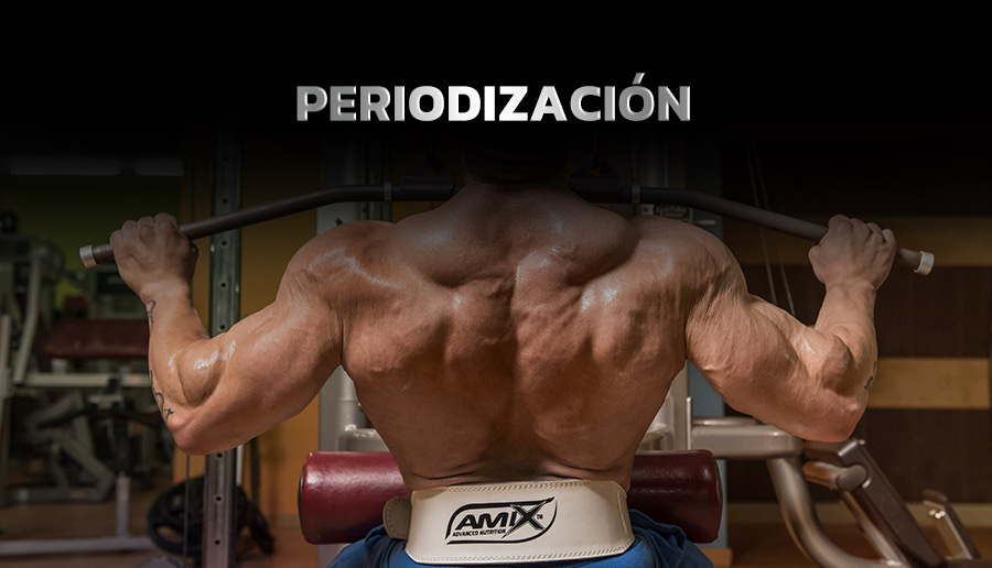 Periodización