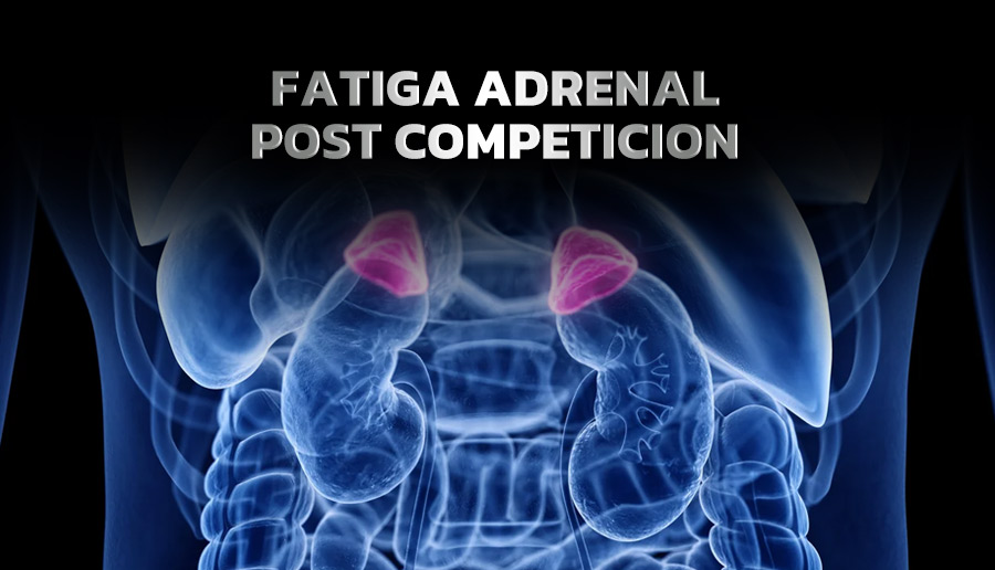  Fatiga adrenal post competición