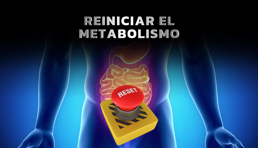 Reiniciar (reset) el metabolismo (nutricion)