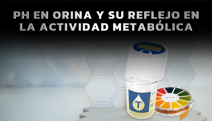 PH en orina y su reflejo en la actividad metabolica