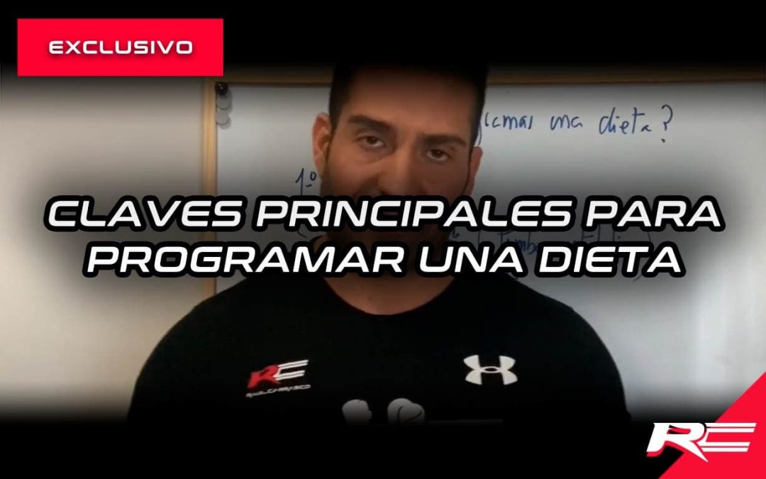 Claves principales para programar una dieta