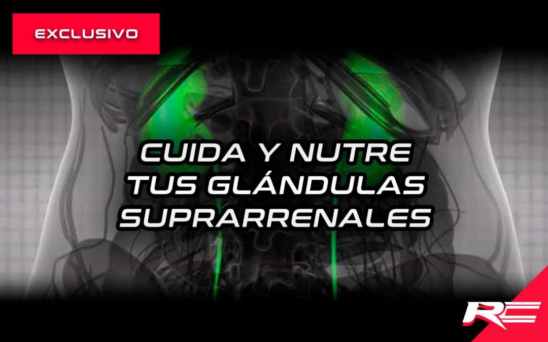 cuida y nutre tus glándulas suprarrenales