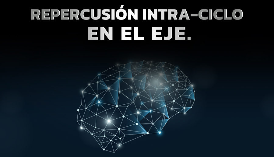 Repercusión intra-ciclo en el eje