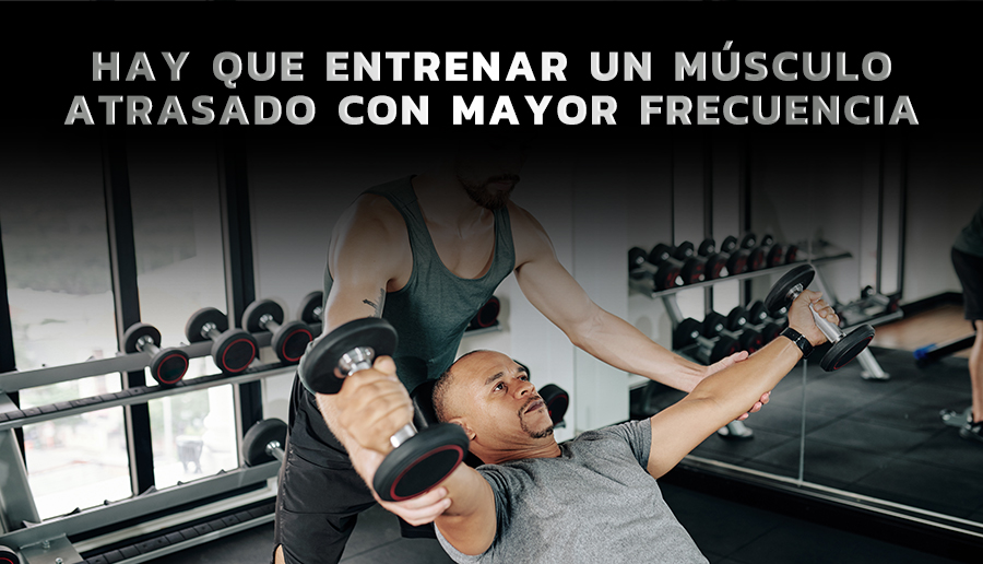 Hay que entrenar un musculo atrasado con mayor frecuencia | Raúl Carrasco